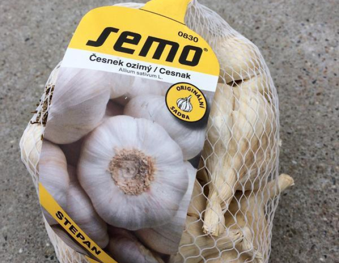 Sazenice podzimního česneku ´ŠTĚPÁN´ 0,5kg