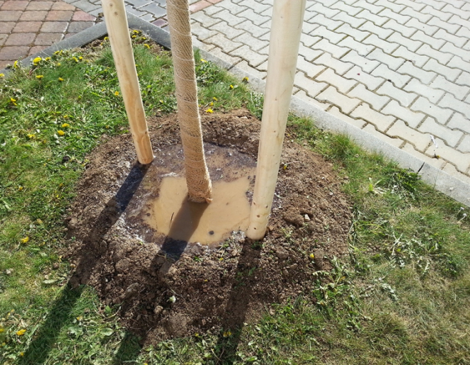 Podpěrný kůl s hrotem o průměru 6 cm - výška 250 cm