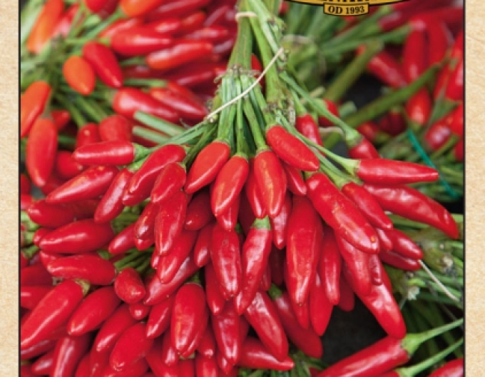 Semenářství Paprika roční Chilli Bird´s Eye
