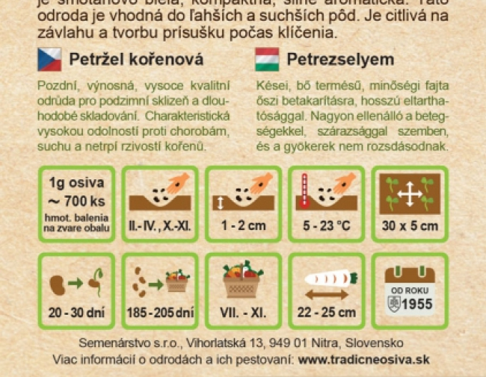 Semenářství Petržel zahradní  kořenový Olomoucká Dlouhá