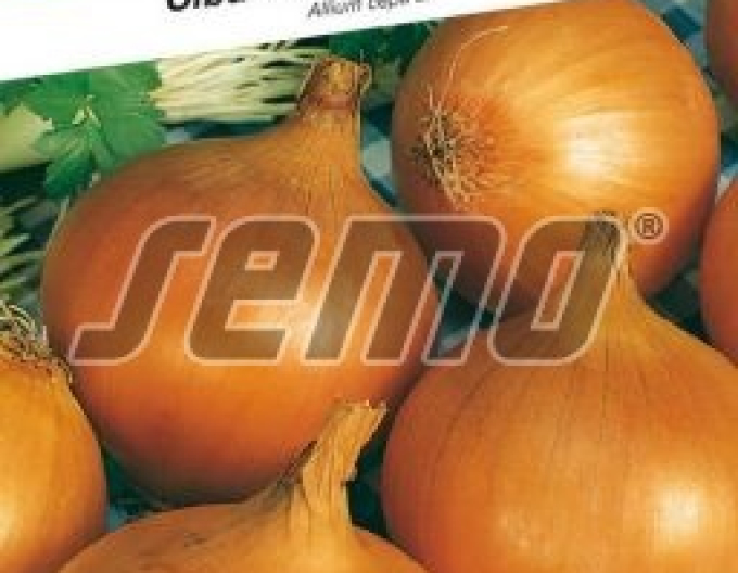 Semo Cibule kuchyňská ´Alice´