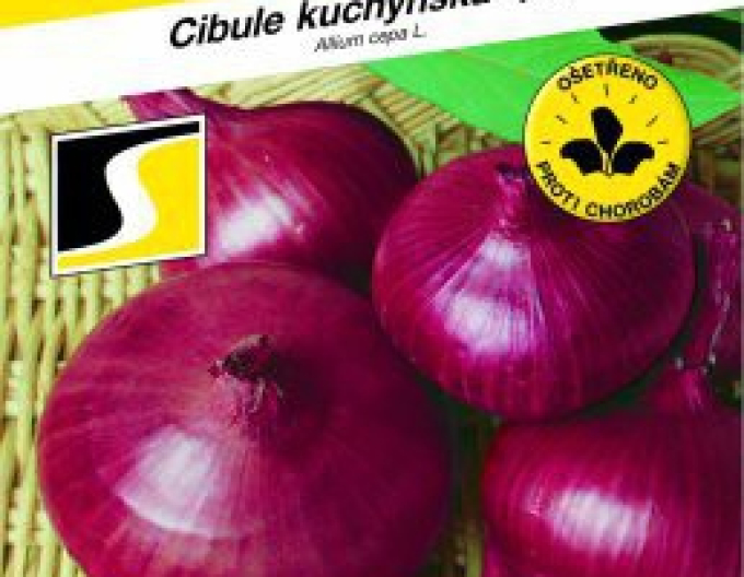 Semo Cibule kuchyňská ´Karmen´