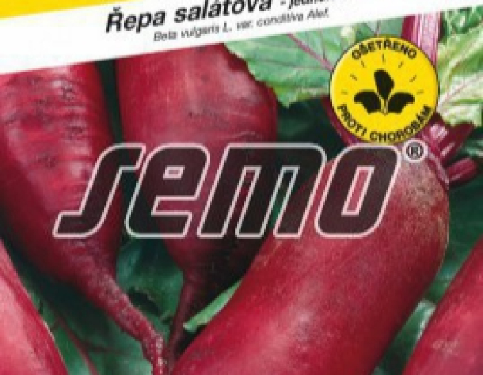 Červená řepa Monorubra