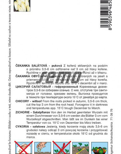 Semo Čekanka salátová Mechelse Middelvroeg