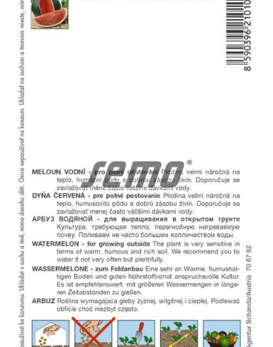 Semo Meloun vodní ´Lajko II F1