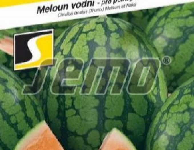 Semena Oranžová dýně ´Primaorange F1 ´