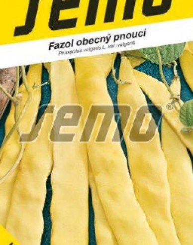 Semo Fazole obecný pnoucí ´Meraviglia Di Venezia´