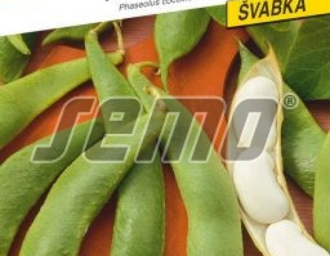 Semo Fazol šarlatový ´Albena´
