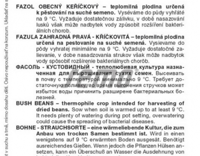 Keřové fazole Seed Garden Nugetka