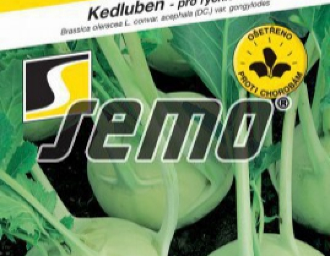 Semo Kedluben ´Dvorana´