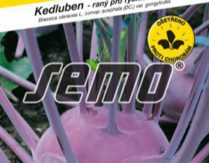 Semo Kedluben ´Viola´