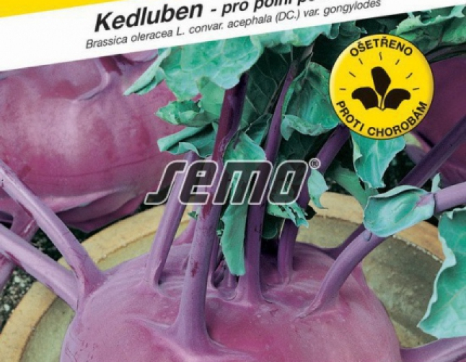 Semo Kedluben ´Violeta´