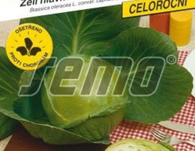 Semo Zelí hlávkové Minica F1