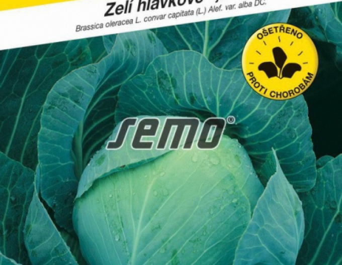 Semo Zelí hlávkové Zora
