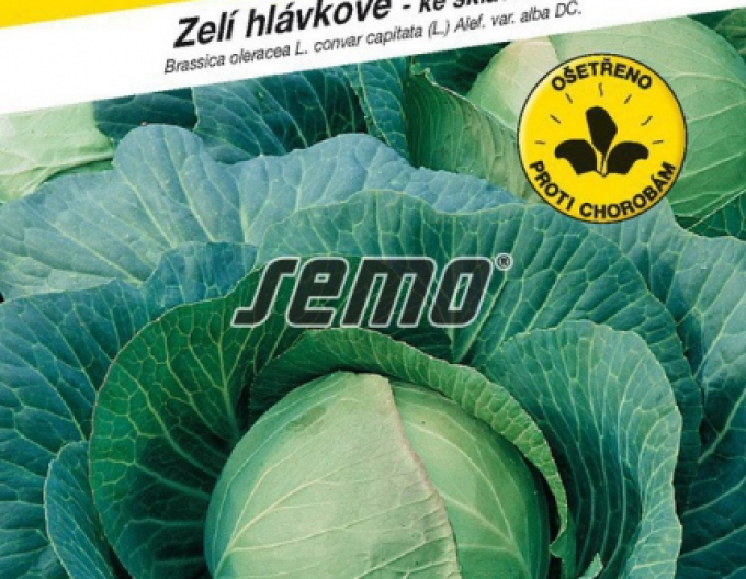 Semo Zelí hlávkové Polar