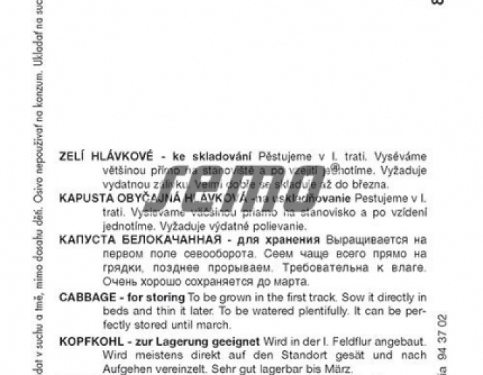 Semo Zelí hlávkové Polar