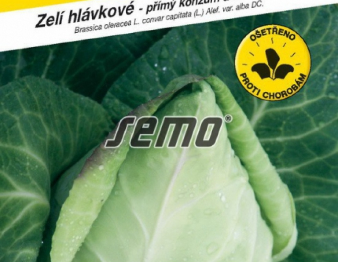 Semenné zelí ´Murdoc F1´