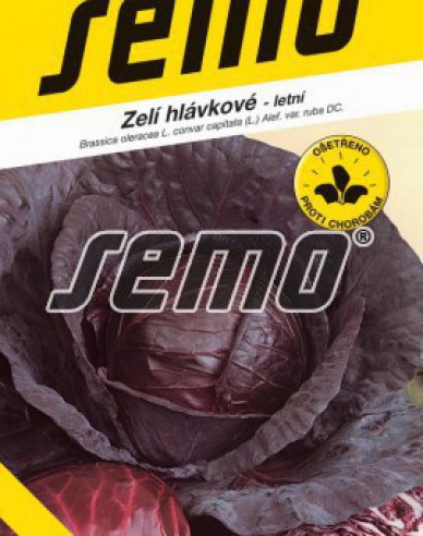 Semo Zelí hlávkové Mars