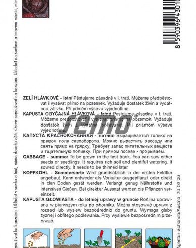 Semo Zelí hlávkové Mars