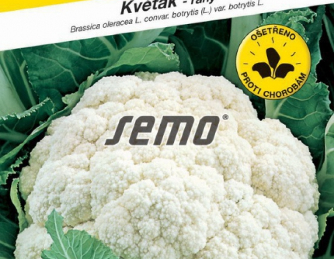 Semo Květák ´Bora´