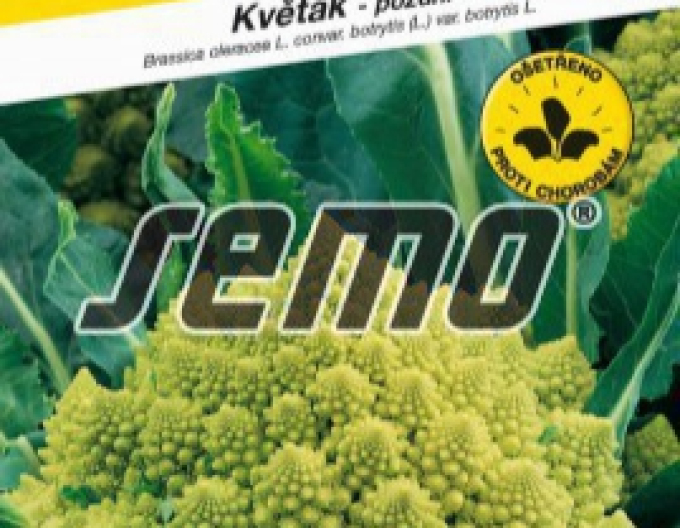 Semo Květák ´Veronica F1´