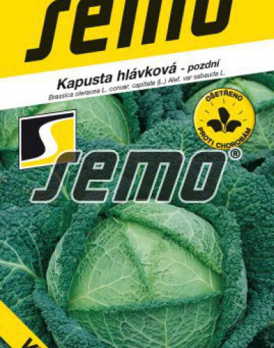 Semo Kapusta hlávková Vertus 2