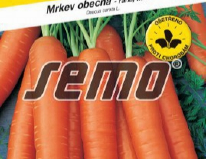 Semo Mrkev obecná ´Nantes 3´