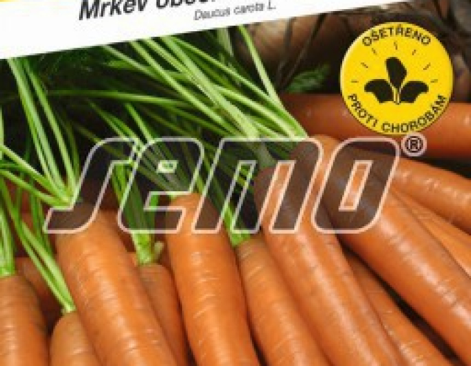 Semo Mrkev obecná ´Jolana F1´