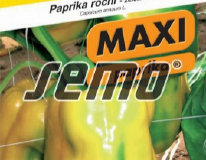 Paprika roční ´Theos F1´