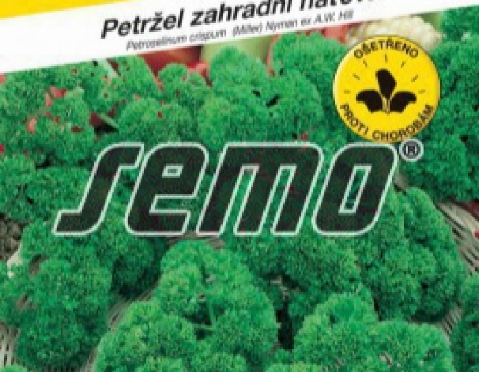Semo Petržel zahradní naťová Kadeřavá