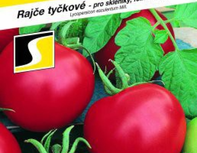 Semo Rajče tyčkové Tipo F1