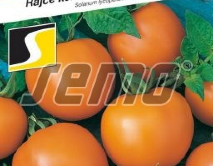 Rajče Orange