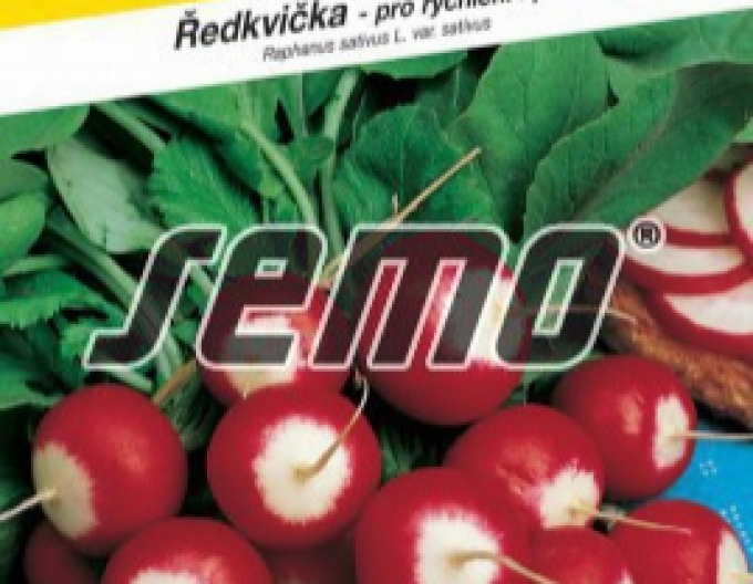 Semo Ředkev setá ´Duo´