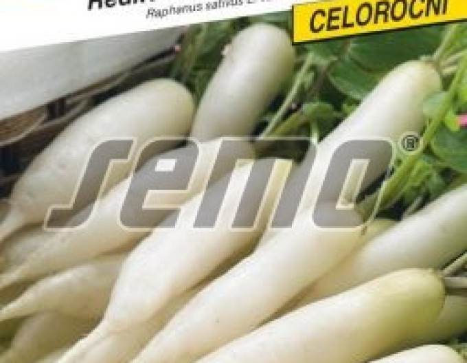 Semo Ředkvička bílá ´Stalagnit F1´