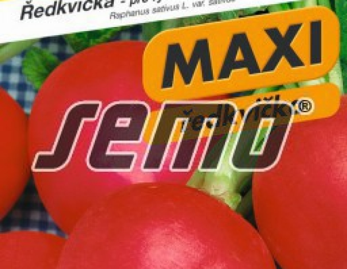 Semo Ředkvička ´Vinara F1´