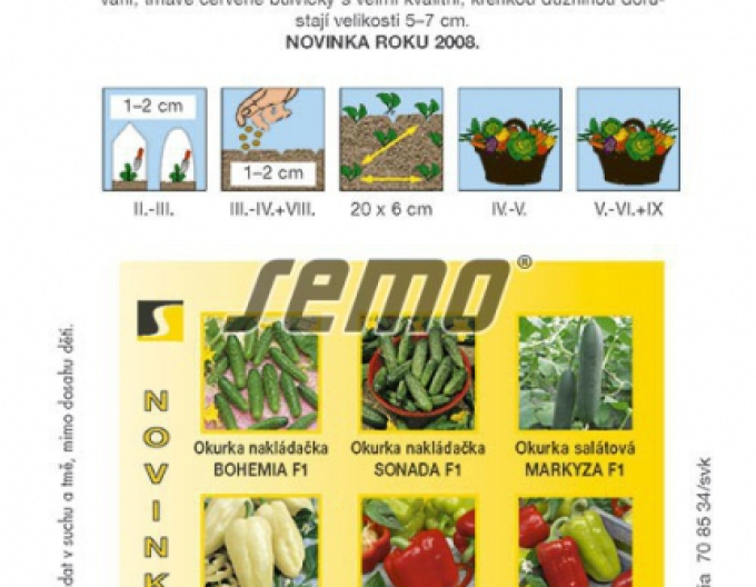 Semo Ředkvička ´Vinara F1´
