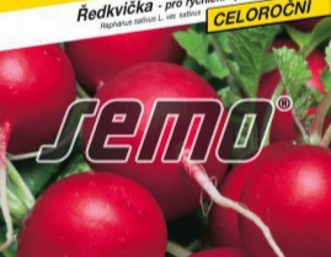 Semo Ředkvička ´Kvintara F1´