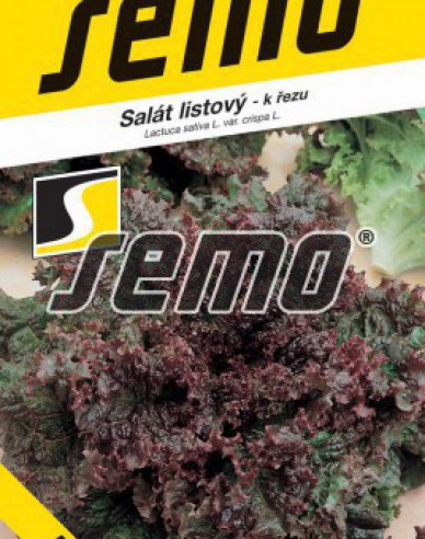 Semo Salát listový Roden