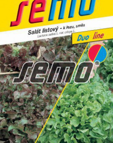 Semo Salát listový směs typu Bowl