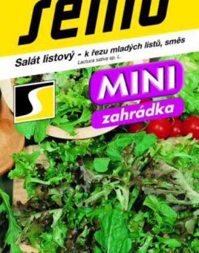 List salátu ´Směs na řezání mladých listů ´