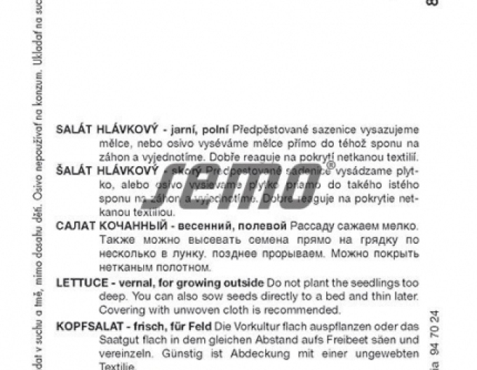Hlávkový salát `Cervil