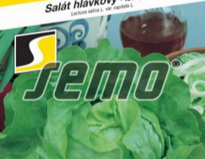 Semo Hlávkový salát ´Mars´