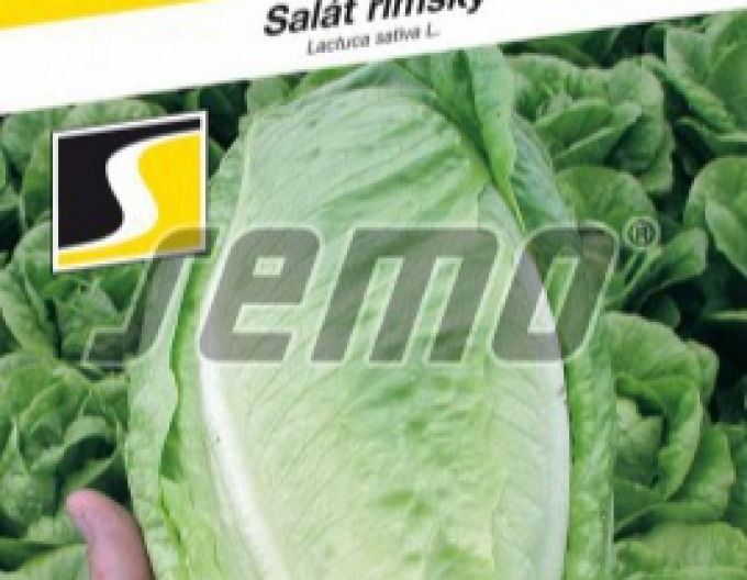 Semo římský salát ´Gelbus´