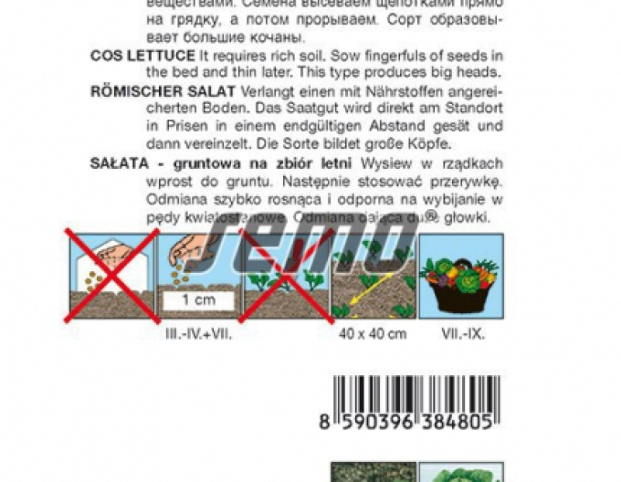 Semo Salát římský Glóbus