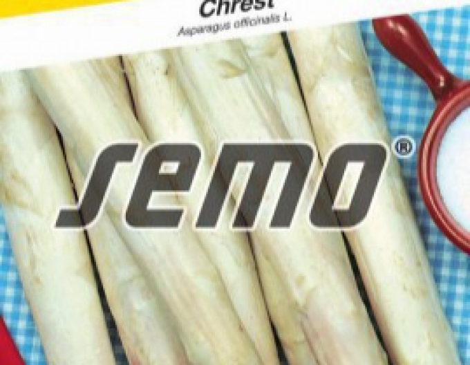 Semo Chřest ´Argenteuil´