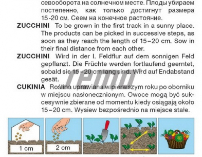 Semena Zelená cuketa ´Emperol F1´