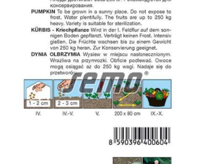 Semo Tykev velkoplodá Atlantic Giant