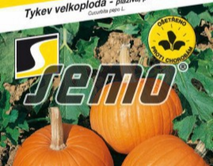 Dýně se semínky ´Yellowgirls F1´