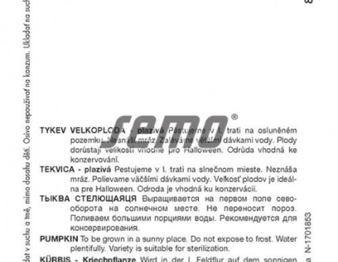 Dýně se semínky ´Yellowgirls F1´