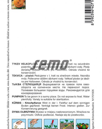 Semo Tykev velkoplodá Gran Gigante